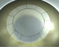 PetsEyes BioCorneaVet™ 150-600Microns (10/12mm diameter disc)