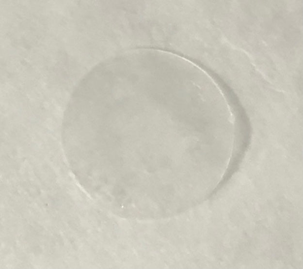 PetsEyes BioCorneaVet 150-500 micrones (disco de 10/12 mm de diámetro)