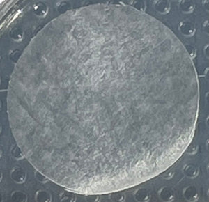 PetsEyes BioCorneaVet™ 150-600Microns (10/12mm diameter disc)