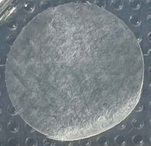 PetsEyes BioCorneaVet 150-600Microns (10/12mm diameter disc)