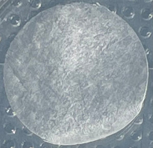 PetsEyes BioCorneaVet™ 150-600Microns (10/12mm diameter disc)